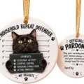 Black Cat Mugshot