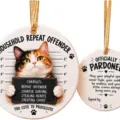 Ginger Cat Heart Thief Mugshot