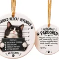 Tuxedo Cat Mugshot