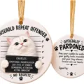 White Longhair Cat Mugshot