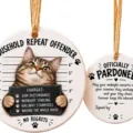 Grey Tabby 3AM Mugshot