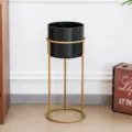 Black Large