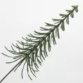 AL144-020-1 Green