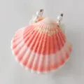 Tamaño Mediano con Páginas en Blanco / Cuaderno de Concha Colorido de Doble Hebilla