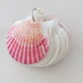 Tamaño Pequeño con Páginas en Blanco / Cuaderno de Concha Colorido de Sencilla Hebilla