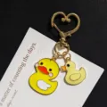 White-winged Duck