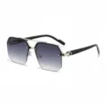 Silver Frame Double Grey Lens