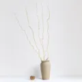About 120cm Longsang White (5 Stems/Bundle) / White