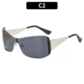 Marco Grande Integrado (2248) / C2-Marco Plateado Lente Gris