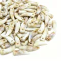 50 Pezzi/Confezione / Color Conchiglia
