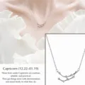 Steenbok / 925 zilver