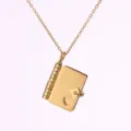 Buch / Gold