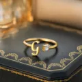 Buchstabe G / Gold