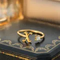 Buchstabe X / Gold