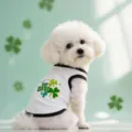 S / Tops / Clover