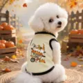 Cute Autumn