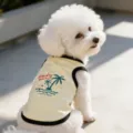 Palm Tree
