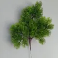 58-Head Luchu Pine