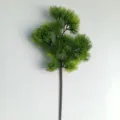 45-Head Luchu Pine 46cm
