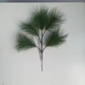 5-Head Large Pine Branch