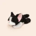 Devon Kat