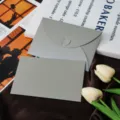 Effen Stijl / Zilverijs