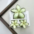 Set de tres piezas / Juego Verde con Borde de Hebilla Dorado Facetado