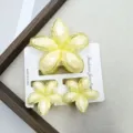 Juego Facetado Borde Transparente Amarillo