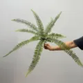 10-Head Fur Leaf