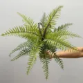 15-Head Boston Fern Leaf