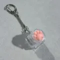 Without Lights / Single Key Transparent Shell - Transparent Cat Paw