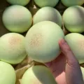 Panecillos squishy color melón