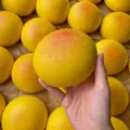 Panecillos squishy color mantequilla