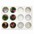 Set 10 (12 Stili Scatola)