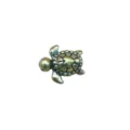 Small Turtle