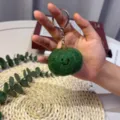 Green Pumpkin