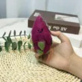 Fruit