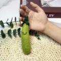 Zucchini
