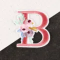 Letter B / 1 Piece/Pack