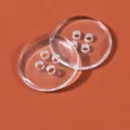Four-Hole Bread / 11.0mm (18L) / Transparent