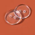 Two-Hole Bread / 9.0mm (14L) / Transparent