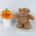 Orange Hat Bear