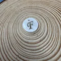 Lettera F
