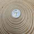 Lettera T