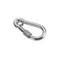 Galvanized Iron M6x60 With Screw And Ring