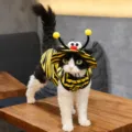 S / Little Bee Set