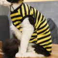 S / Little Bee Clothes