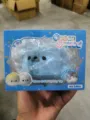 Super Large-PVC Boxed / Blue