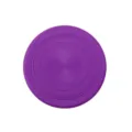As Shown / Purple