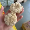 Balle Squishy Couleur Bois 1 Pièce